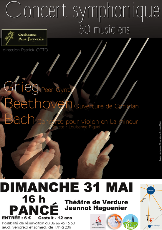 concert symphonique Pancé 31 05 2015 PNG 550x780px